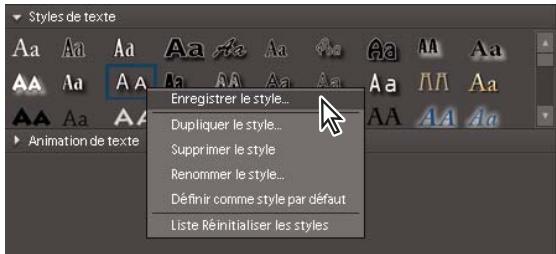 ADOBE PREMIERE ELEMENTS 8 - A propos des styles - 1