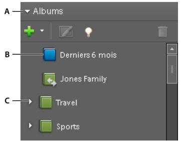 ADOBE PREMIERE ELEMENTS 8 - A propos des albums dynamiques - 1