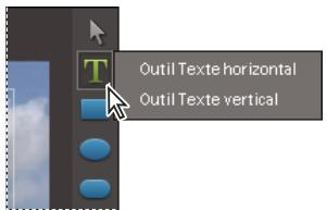 ADOBE PREMIERE ELEMENTS 8 - Création d'un titre fixe - 1