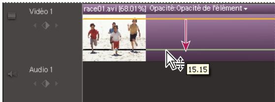 ADOBE PREMIERE ELEMENTS 8 - Réglage de l'opacité - 1