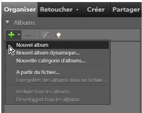 Organiser Retoucher Créer Partager Albums Nouvel album Nouvel album dynamique... Nouvelle catégorie d'albums... A partir du fichier... Enregistrer des albums dans un fichier... Réduire tous les albums Développer tous les albums