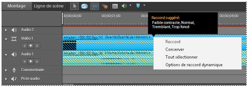 Montage Ligne de scène 00:00:00:00 00:00:01:00 00:00:04:00 Audio 2 Vidéo 1 Audio 1 Commentaire Piste audio Raccord suggéré: Faible contraste, Normal, Tremblant, Trop foncé Raccord Conserver Tout sélectionner Options de raccord dynamique