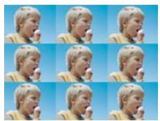 ADOBE PREMIERE ELEMENTS 9 - Galerie d'effets vidéo - 36