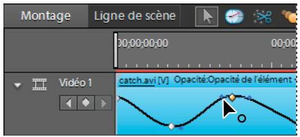 Montage Ligne de scène 00:00:00:00 00:00 Video 1 catch.avi [V] Opacité:Opacité de l'élément