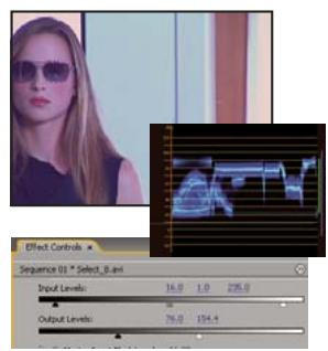 ADOBE PREMIERE PRO CS5 - Modification de la luminance grâce aux niveaux - 3