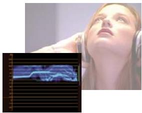 ADOBE PREMIERE PRO CS5 - Modification des couleurs et de la luminance - 2