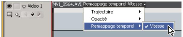 ADOBE PREMIERE PRO CS5 - Arrêt sur image pour une portion d'élement - 1
