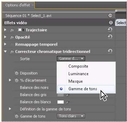 ADOBE PREMIERE PRO CS5 - Définition des plages tonales dans un élément - 2