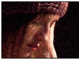 ADOBE PREMIERE PRO CS5 - Effets Bruit TLS et Bruit TLS Auto - 2