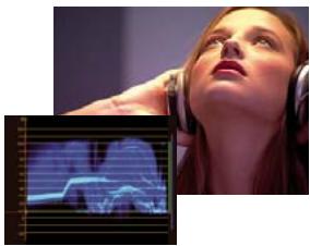 ADOBE PREMIERE PRO CS5 - Modification des couleurs et de la luminance - 3
