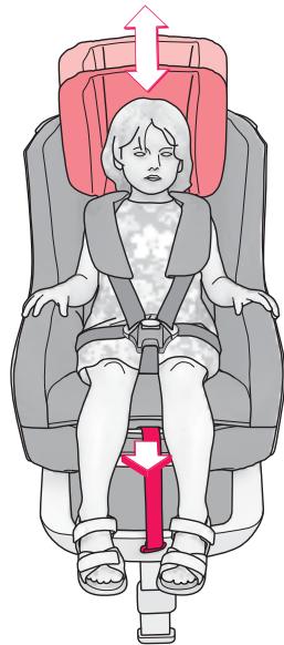 CONCORD ABSORBER XT - AVERTISSEMENT - 6