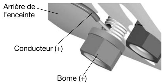 BOSE ENCEINTES EXTERIEURES 151 SE - Branchement des enceintes à l'ampli-tuner/amplificateur - 2