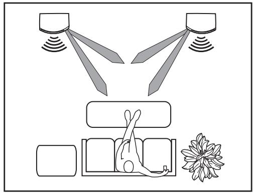 BOSE 301 DIRECT-REFLECTING SPEAKERS - Différentes manières de profiter de ses enceintes - 2