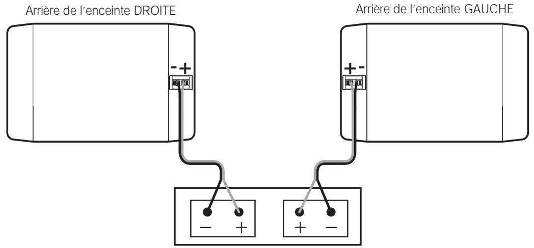 BOSE 301 SERIE IV DIRECT - Contrôle des connexions - 1