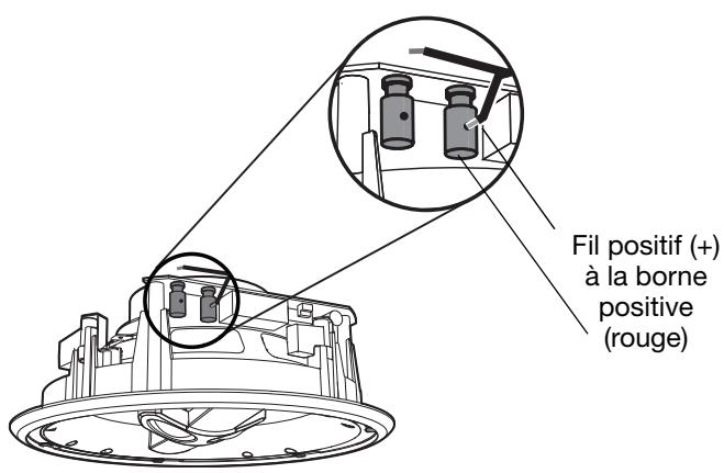 BOSE 791 SPEAKERS - Connexion de l'enceinte - 1