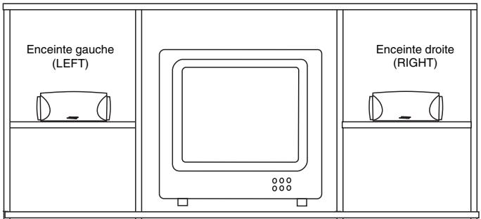 BOSE CHAINES DVD HOME CINEMA 321 ET 321 GS I - Figure 13 - 1