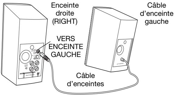BOSE COMPANION 2 SERIES II - Branchements - 1