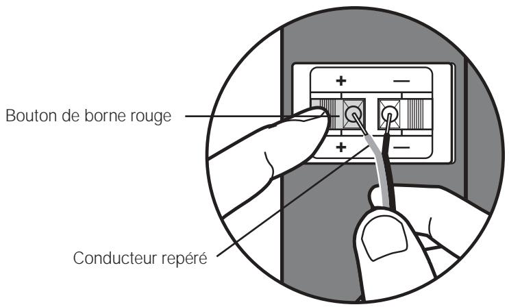BOSE ENCEINTES DIRECT REFLECTING 301 IV - Réalisation des connexions - 1