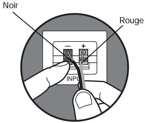 BOSE ENCEINTES DIRECT REFLECTING 301 V - Raccordements des enceintes - 2