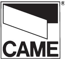 CAME S4339 - 1