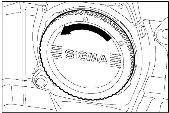 SIGMA SD10 - 1 - 1