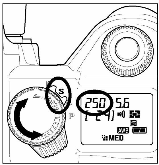 SIGMA SD10 - MISE EN GARDE - 1