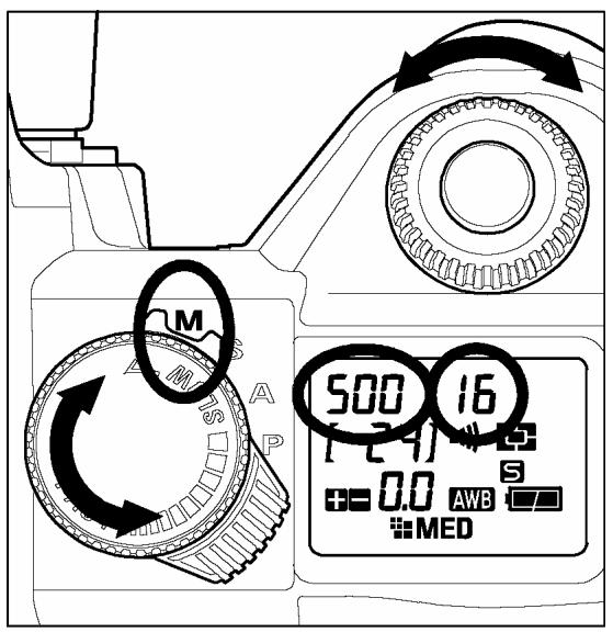 SIGMA SD10 - MISE EN GARDE - 1
