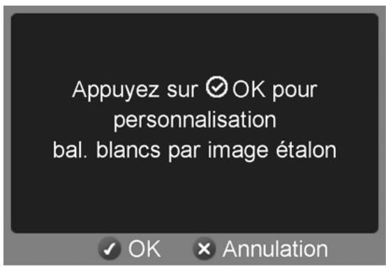 SIGMA SD10 - BALANCE DES BLANCS PERSONNALISEE - 3