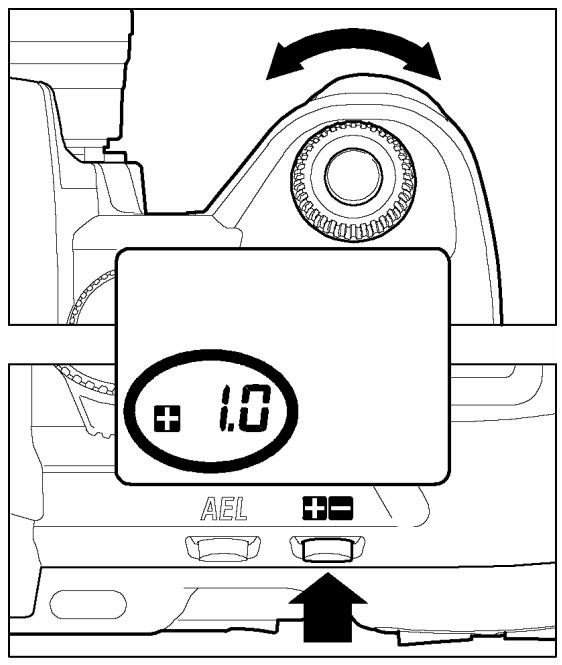 SIGMA SD10 - 3 - 1