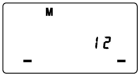 SIGMA EM-140 DG SA-STTL - LIMITS OF CONTINUOUS SHOOTING - 3