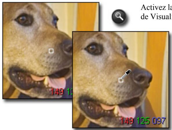SIGMA PHOTO PRO 2.5 - Utilisation de la loupe - 1