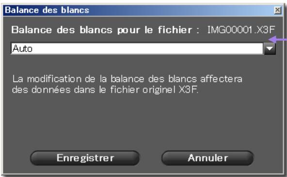 SIGMA PHOTO PRO 2.5 - Modification de la Balance des blancs dans un fichier X3F - 1