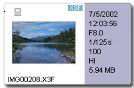 SIGMA PHOTO PRO 2.5 - Modes d'affichage des images - 6