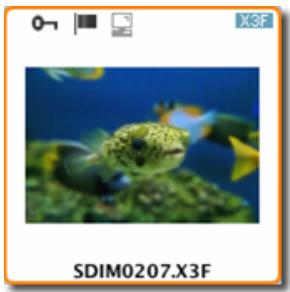 SIGMA PHOTO PRO 3.2 - Selection d'une image spécifique à partir de l'Ecran principal - 1