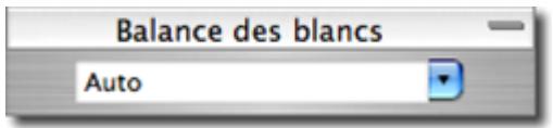 SIGMA PHOTO PRO 3.2 - Modification de la Balance des blancs dans un fichier X3F - 1