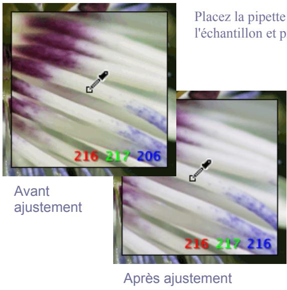 SIGMA PHOTO PRO 3.2 - Utilisation de la Pipette d'AJustement de la couleur - 2
