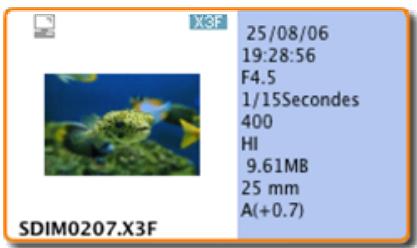 SIGMA PHOTO PRO 3.2 - Petites diapositives avec détails - 2