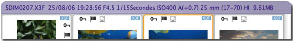 SIGMA PHOTO PRO 3.2 - Information sur l'Image - 1