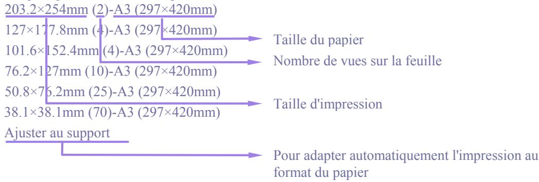 SIGMA PHOTO PRO 3.2 - Taille d'impression - 1