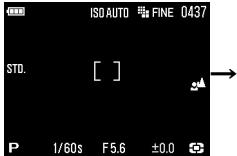 SIGMA DP2 - MODIFICATION DU TYPE D'AFFICHAGE - 5