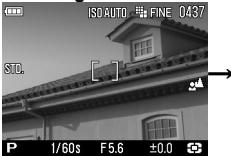 SIGMA DP2 - MODIFICATION DU TYPE D'AFFICHAGE - 1