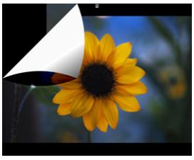 SIGMA PHOTO PRO 3.5 - Déroulement - 1