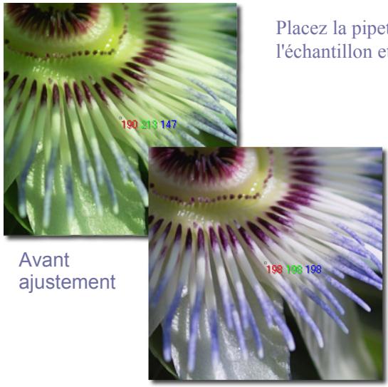 SIGMA PHOTO PRO 3.5 - Utilisation de la Pipette d'AJustement de la couleur - 2