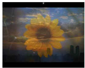 SIGMA PHOTO PRO 3.5 - Zoom - 1