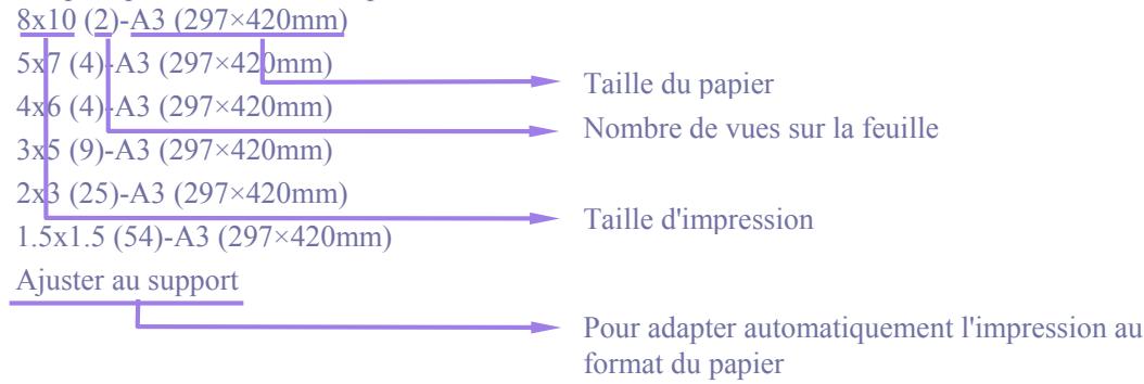 SIGMA PHOTO PRO 3.5 - Taille d'impression - 1