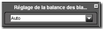 SIGMA PHOTO PRO 3.5 - Modification de la Balance des blancs dans un fichier X3F - 1