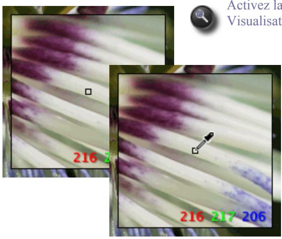 SIGMA PHOTO PRO 3.5 - Utilisation de la loupe - 1