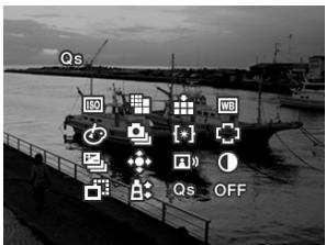SIGMA DP1S - FONCTION ADDITIONNELLE .3 - 1