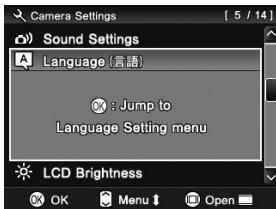 SIGMA DP2S - MISE EN GARDE! - 3