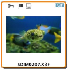 SIGMA PHOTO PRO 4 - Selection d'une image spécifique à partir de l'Ecran principal - 1